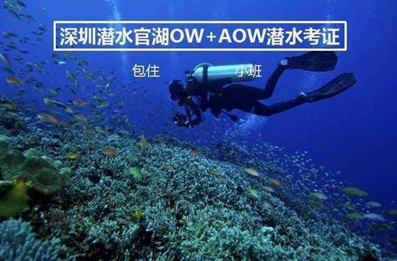 救援卡通老虎