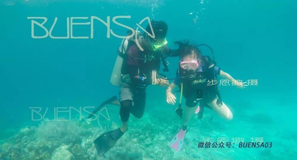 飞度和polo哪个好？游戏画面