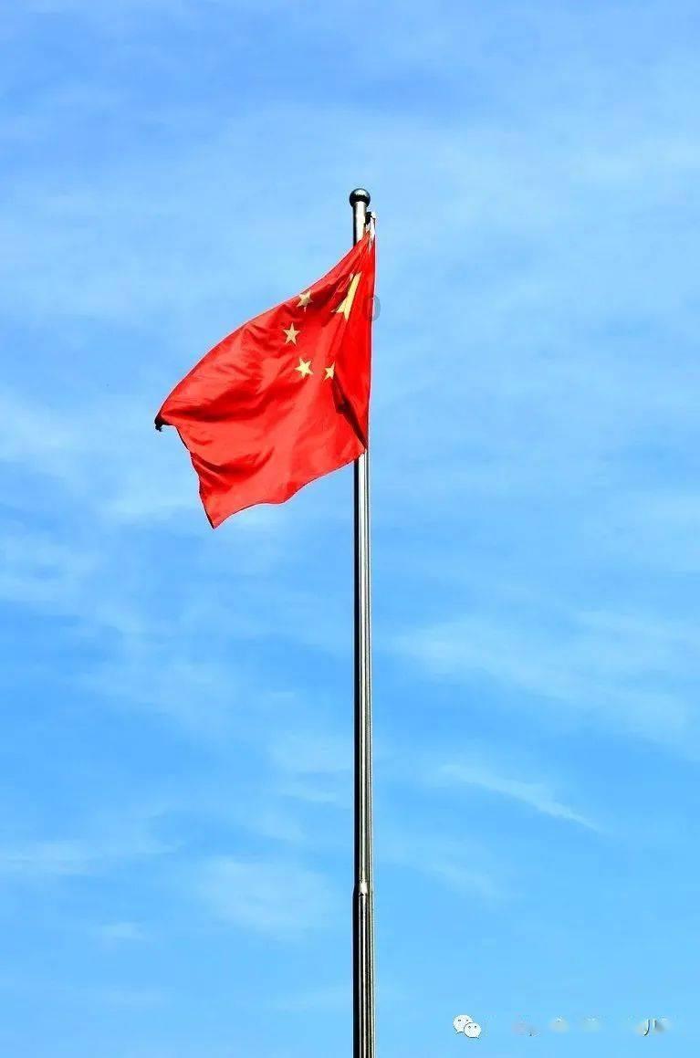 救援男孩贝利