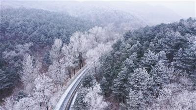 如何预防小宝宝吐奶呢？游戏画面